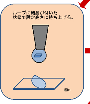 ループに結晶が着いた状態で設定高さに持ち上げる